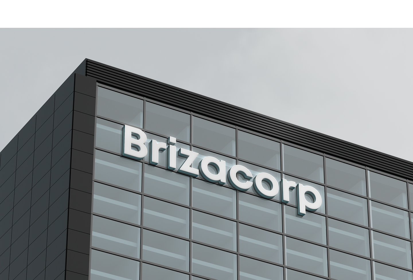 Brizacorp case